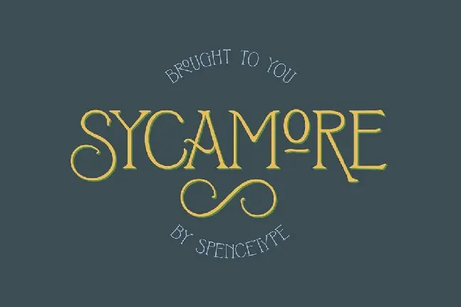 Sycamore Display font