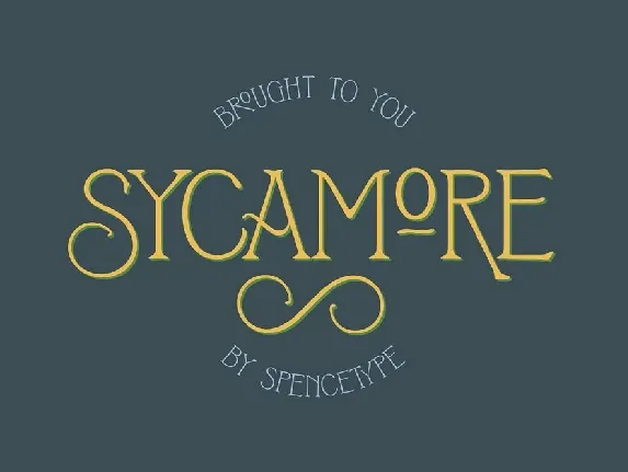 Sycamore Display font