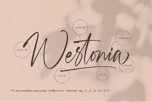 Westonia font