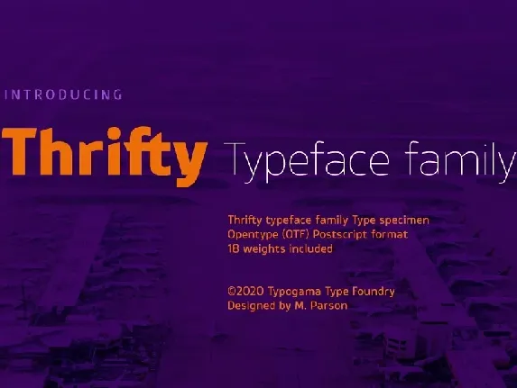 Thrifty Family font