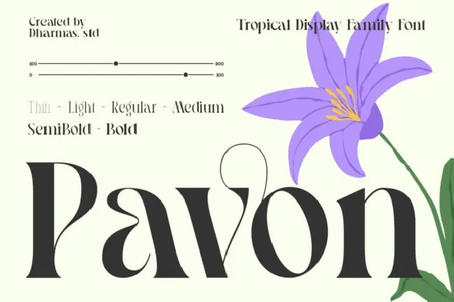 Pavon font