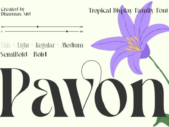 Pavon font