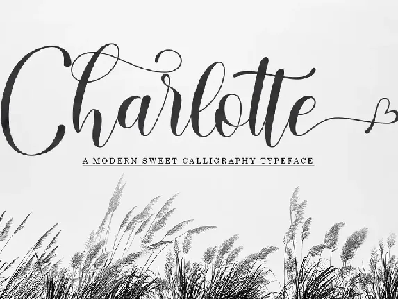 Charlotte Script font