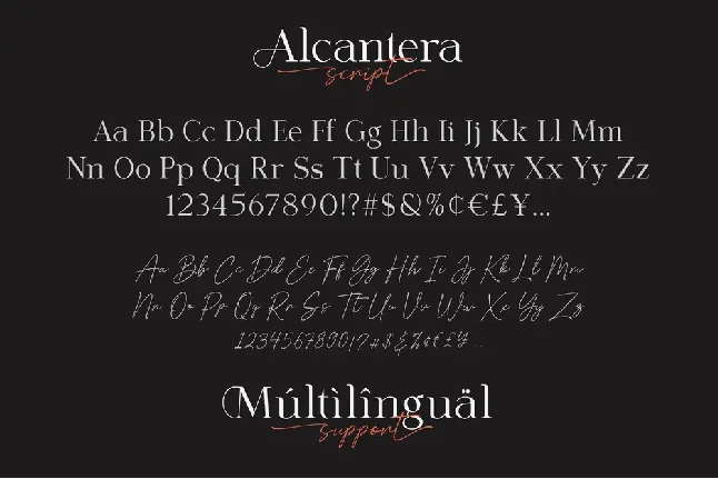 Alcantera Duo font