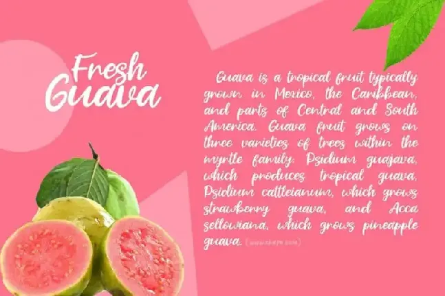 Fresh Guava Script font