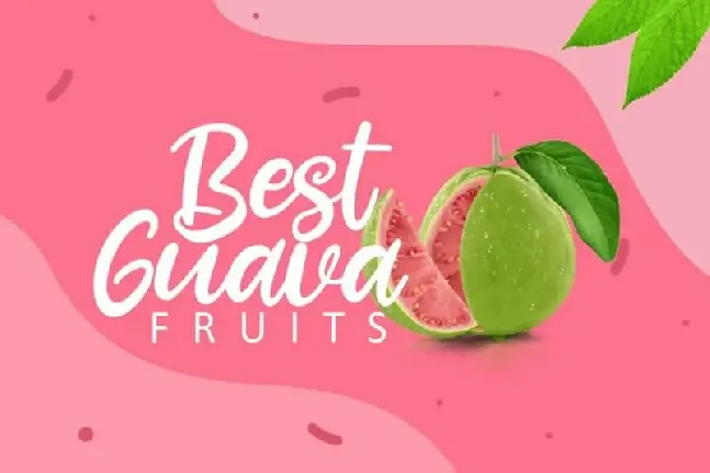 Fresh Guava Script font