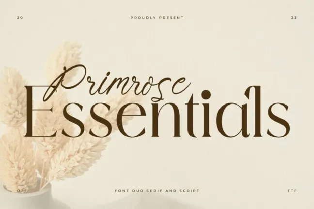 Primrose Essentials Duo font