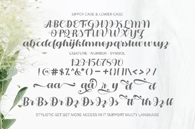 Bellies font