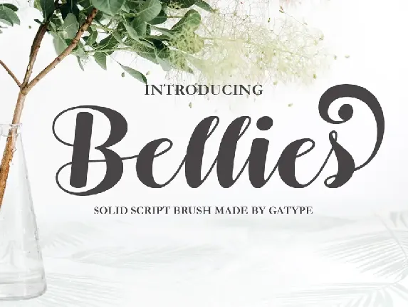 Bellies font