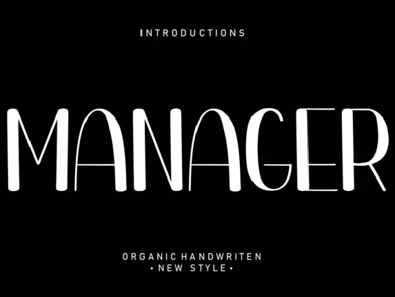 Manager Display font