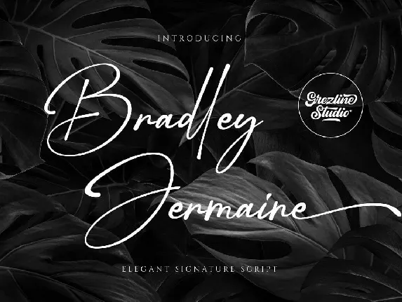 Bradley Jermaine font