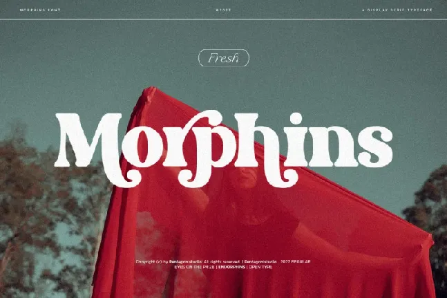 Morphins font