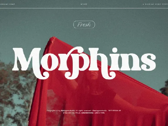 Morphins font