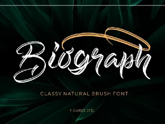 Biograph font