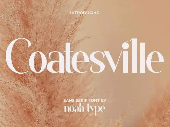 Coatesville font