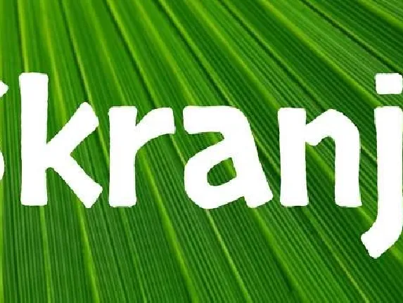 Skranji Family font