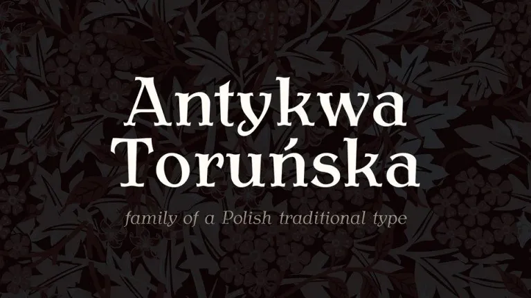 Antykwa Torunska Serif Family font