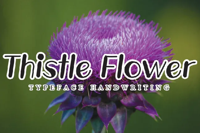 Thistle Flower Display font