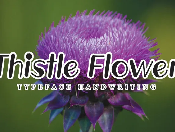 Thistle Flower Display font