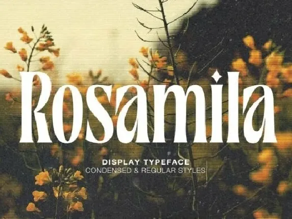 Rosamila font