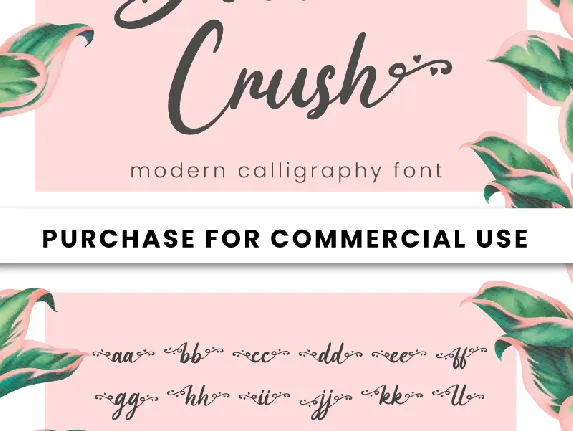 Diana Crush font