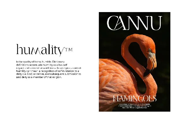 Cannu font