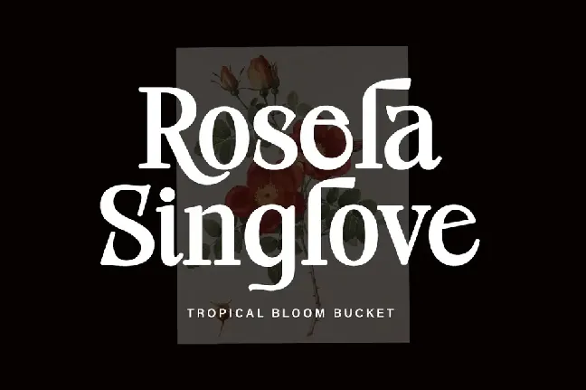 Roseta Display font