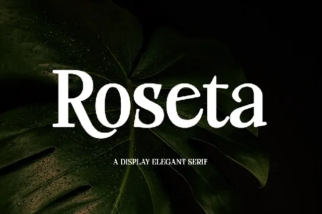 Roseta Display font