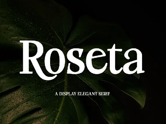 Roseta Display font