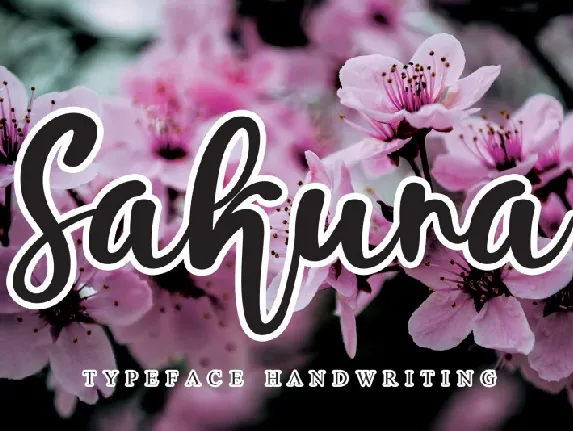 Sakura Script font