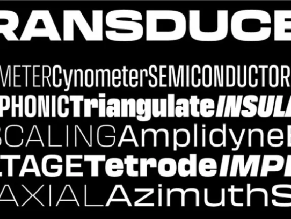 Transducer Family font