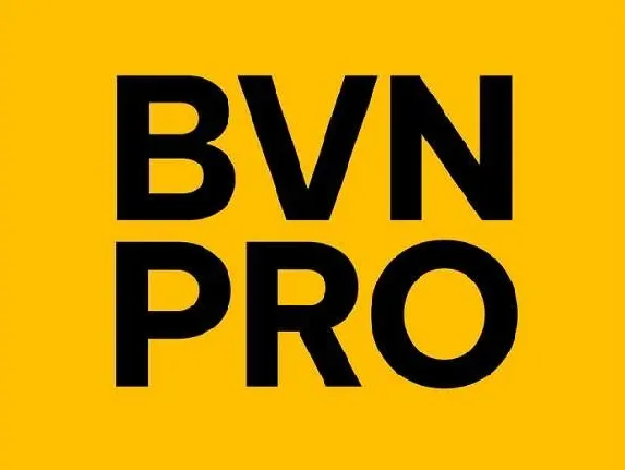 Be Vietnam Pro font