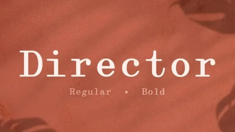 Director Serif font