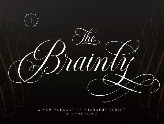 Brainly font