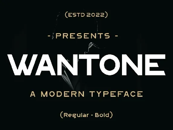 Wantone font