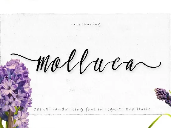 Molluca font