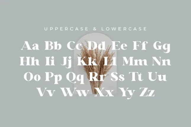 Glaure font