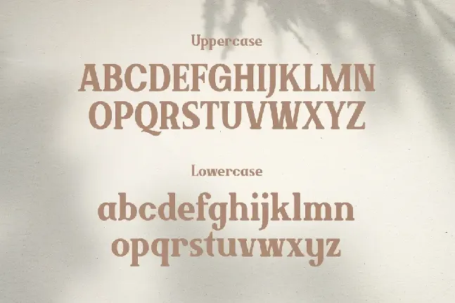 Brickson Free Trial font