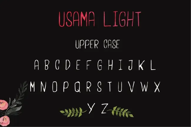 UsamaLight Free font