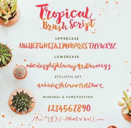 Tropical Brush Script Free font