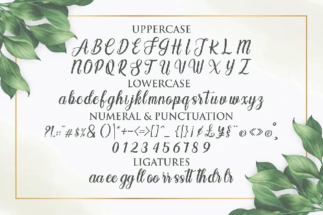 Angelia font