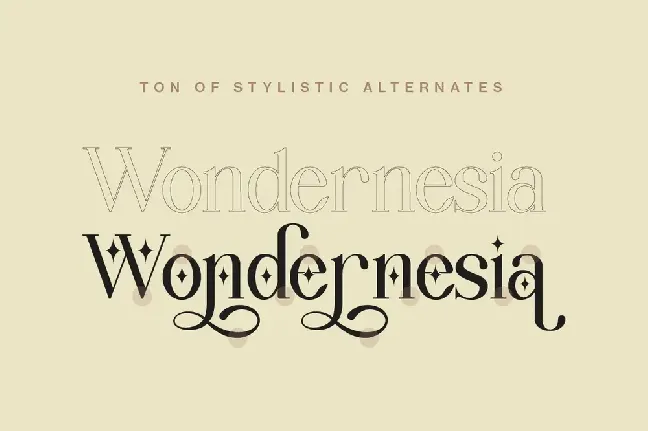 Wondernesia Demo font