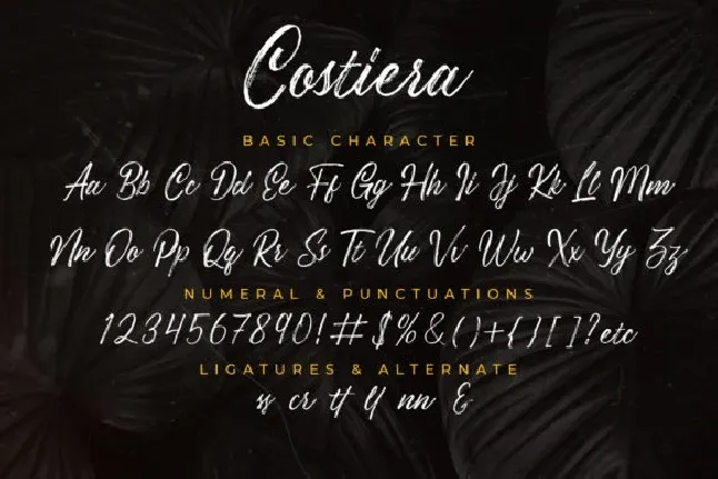 Costiera Hand Brush font