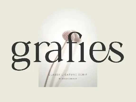 Grafies font