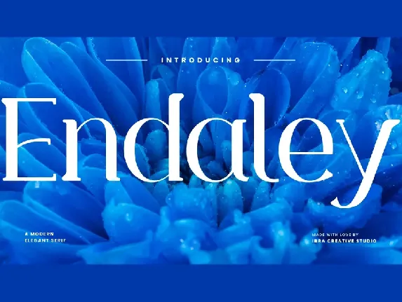 Endaley Personal Use font