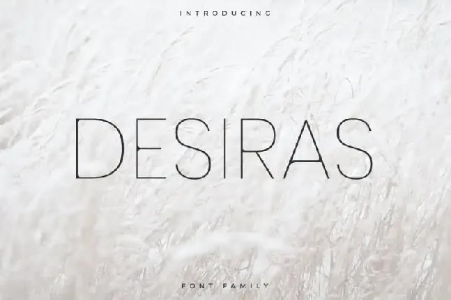 Desiras Sans Serif font