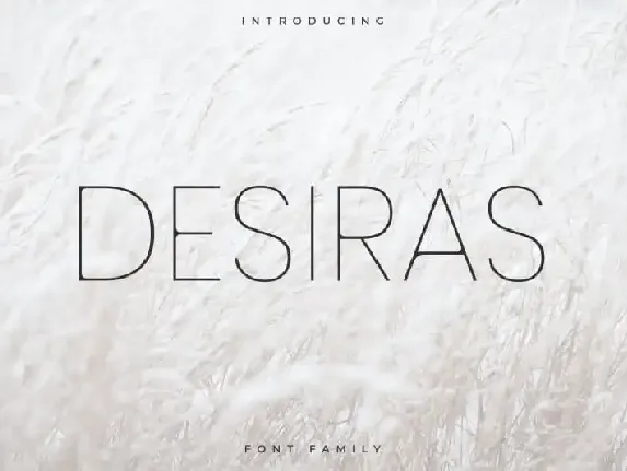 Desiras Sans Serif font