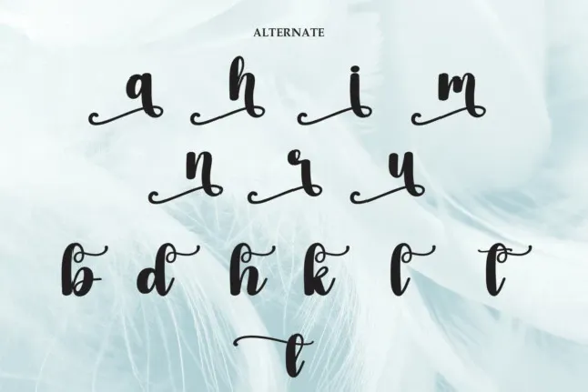 Gently Script font