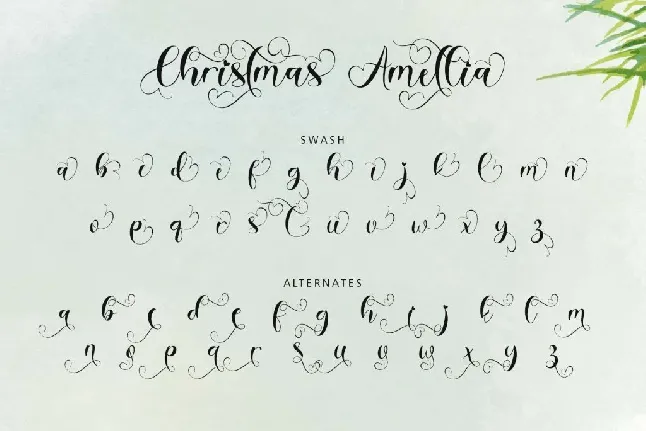 Christmas Bertha font