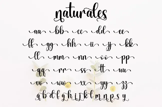 Naturales font